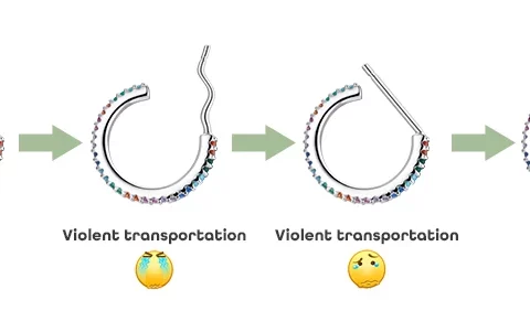 Bamoer 925 Sterling Silver Ear Hoops Luxury Ear Buckles Pave Setting Zircon for Women Wedding Engagement Jewelry Gifts BSE300 - Image 10